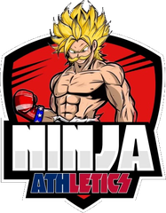 Ninjaletics